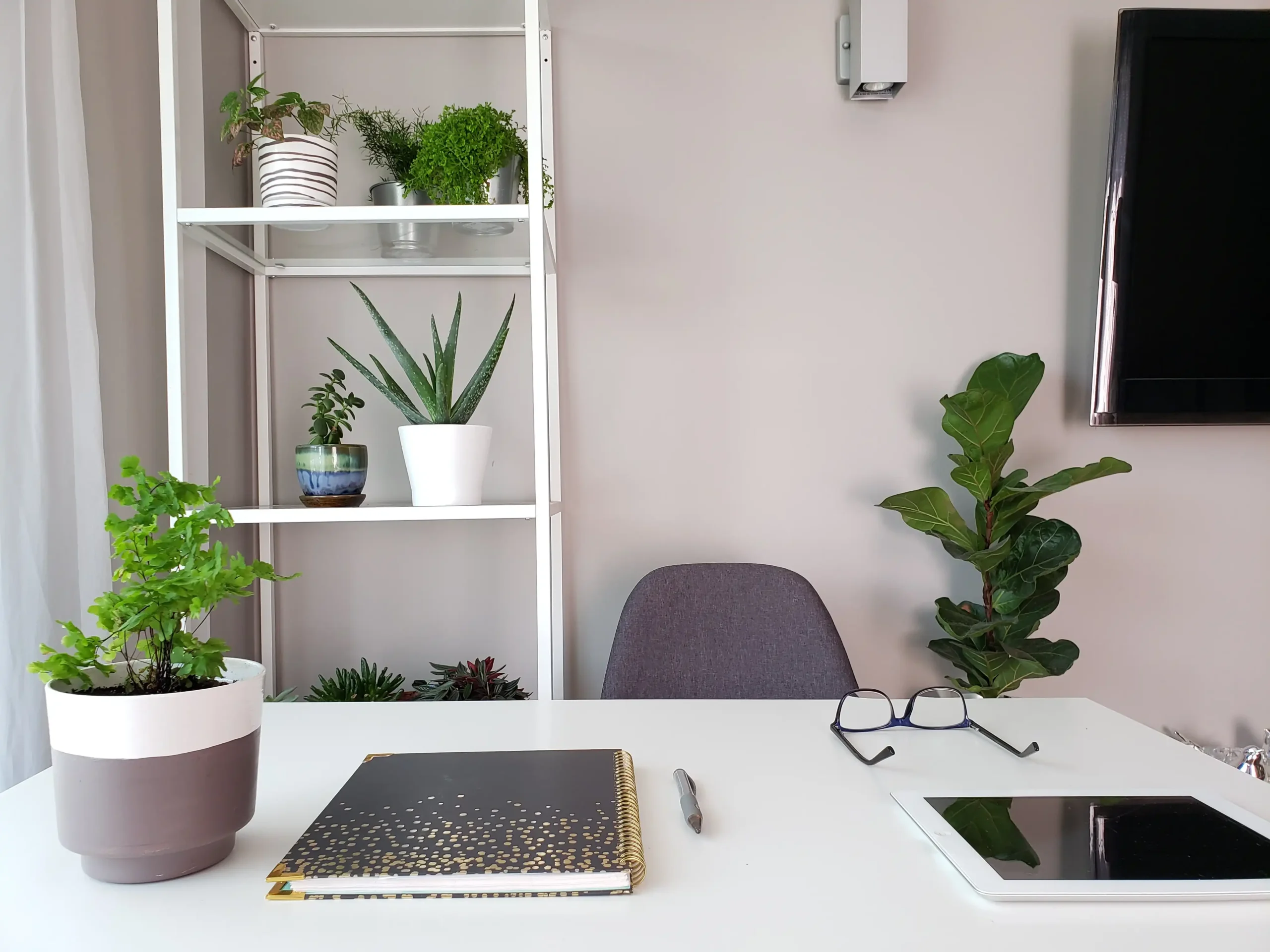 Eco-friendly workspace with plants and minimalist design encouraging sustainability at work.