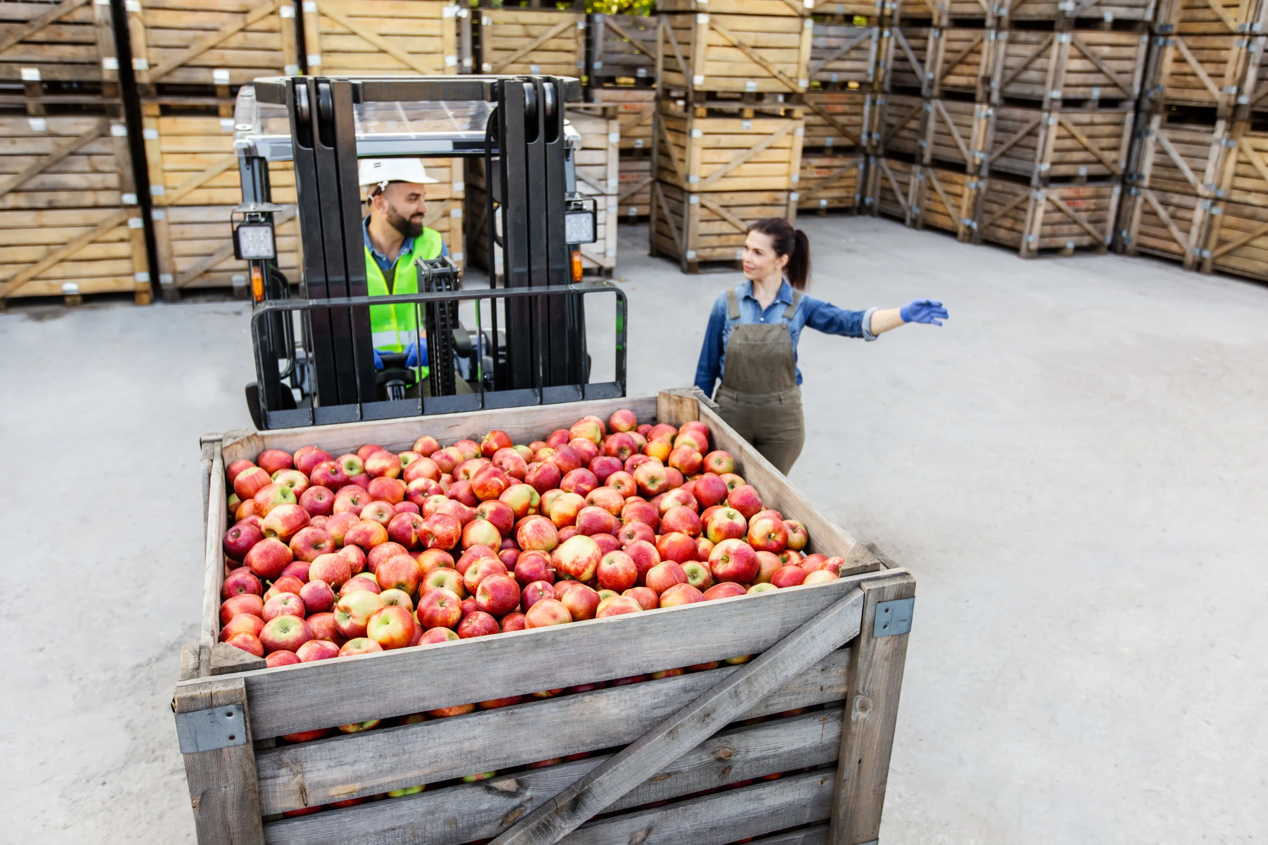 Worker guiding forklift operator in a warehouse during cross docking of fresh apples in wooden crates.